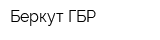 Беркут-ГБР