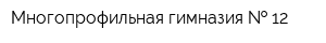 Многопрофильная гимназия   12
