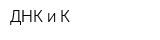 ДНК и К