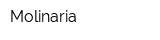 Molinaria