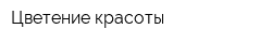 Цветение красоты