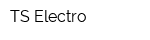 TS-Electro