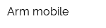 Arm mobile