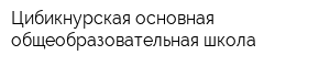 Цибикнурская основная общеобразовательная школа