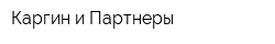 Каргин и Партнеры