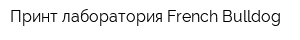 Принт лаборатория French Bulldog