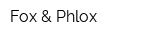 Fox & Phlox