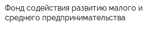 Фонд содействия развитию малого и среднего предпринимательства