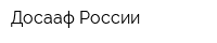 Досааф России