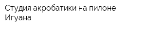 Студия акробатики на пилоне Игуана