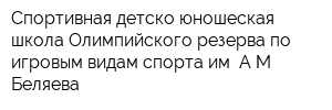 Спортивная детско-юношеская школа Олимпийского резерва по игровым видам спорта им АМ Беляева