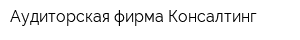 Аудиторская фирма Консалтинг