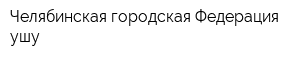 Челябинская городская Федерация ушу