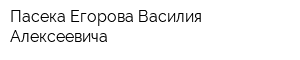 Пасека Егорова Василия Алексеевича