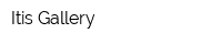 Itis Gallery