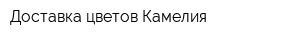 Доставка цветов Камелия