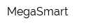 MegaSmart