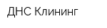 ДНС-Клининг