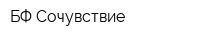 БФ Сочувствие