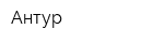Антур