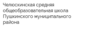 Челюскинская средняя общеобразовательная школа Пушкинского муниципального района