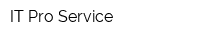 IT Pro Service