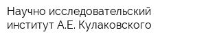 Научно-исследовательский институт АЕ Кулаковского