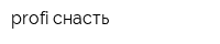 profi снасть