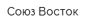 Союз-Восток