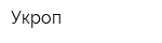 Укроп