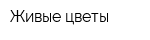 Живые цветы
