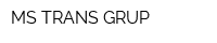 MS-TRANS GRUP