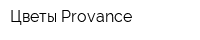 Цветы Provance