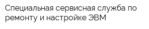 Специальная сервисная служба по ремонту и настройке ЭВМ