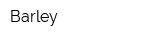 Barley