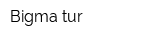 Bigma-tur