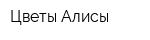 Цветы Алисы
