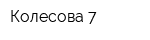 Колесова 7