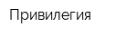 Привилегия