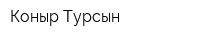 Коныр Турсын