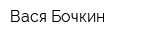 Вася Бочкин