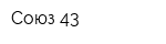 Союз 43