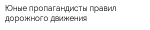 Юные пропагандисты правил дорожного движения