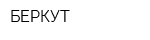 БЕРКУТ
