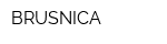 BRUSNICA