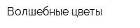 Волшебные цветы