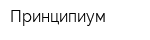 Принципиум