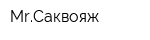 MrСаквояж