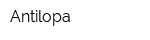 Antilopa
