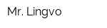 Mr Lingvo